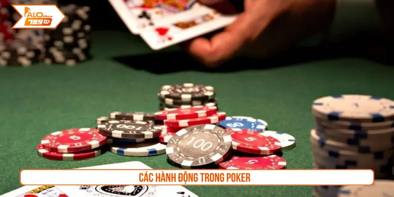 Các hành động trong Poker