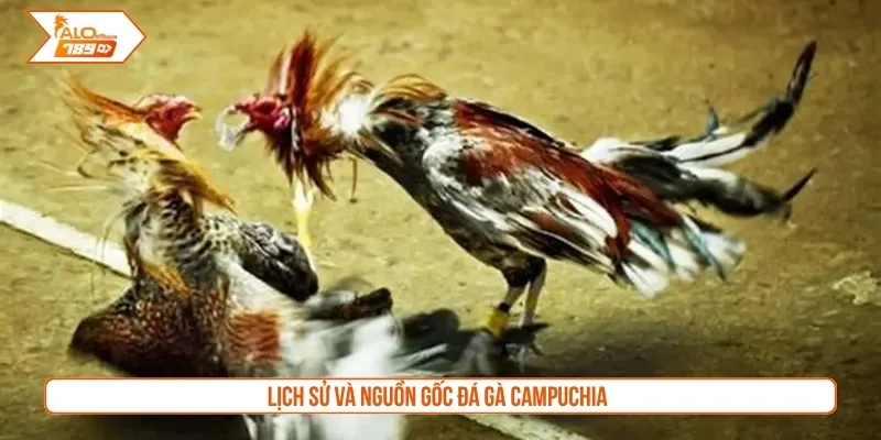 Lịch sử và nguồn gốc đá gà Campuchia