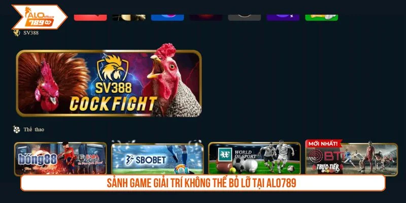 Nền tảng cung cấp các sảnh đá gà tại các trường đấu quốc tế