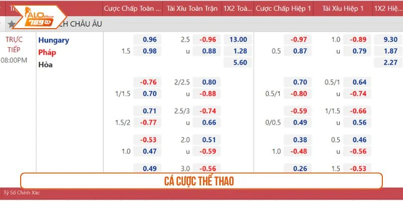 Cá cược thể thao với tỷ lệ kèo hấp dẫn